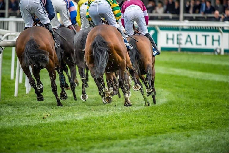 Grand National Race Results
