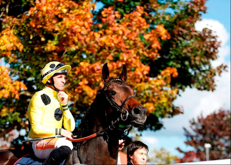 Virgin Bet to sponsor next month's Group One Sun Chariot Stakes
