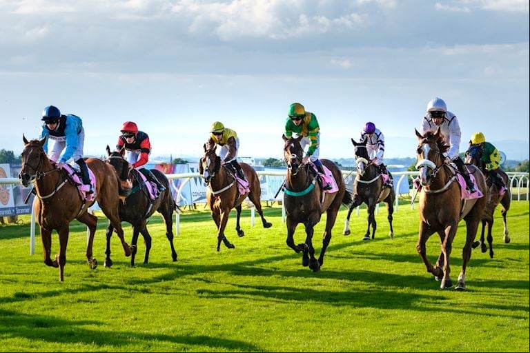Jockeys