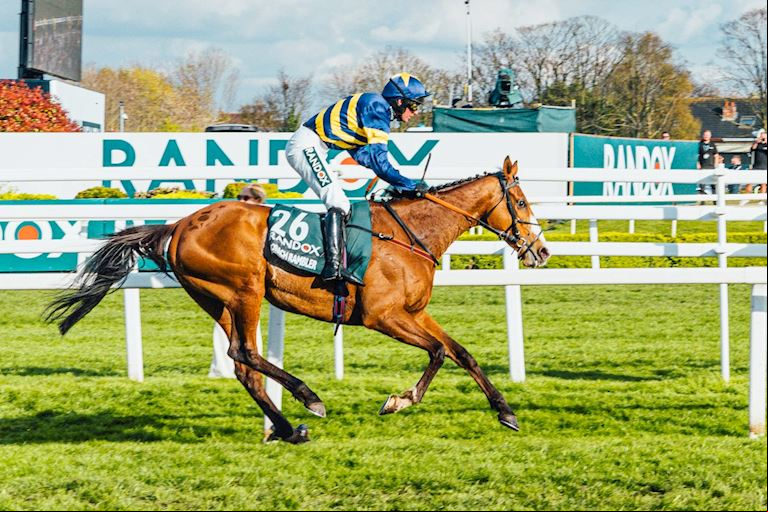 Equine Testing