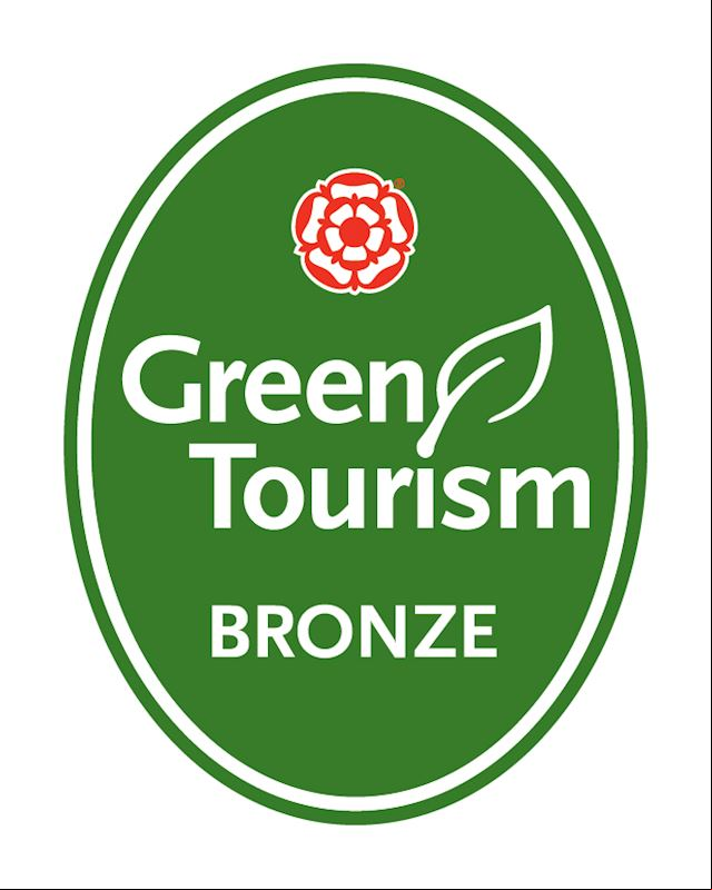 GT england bronze.jpg