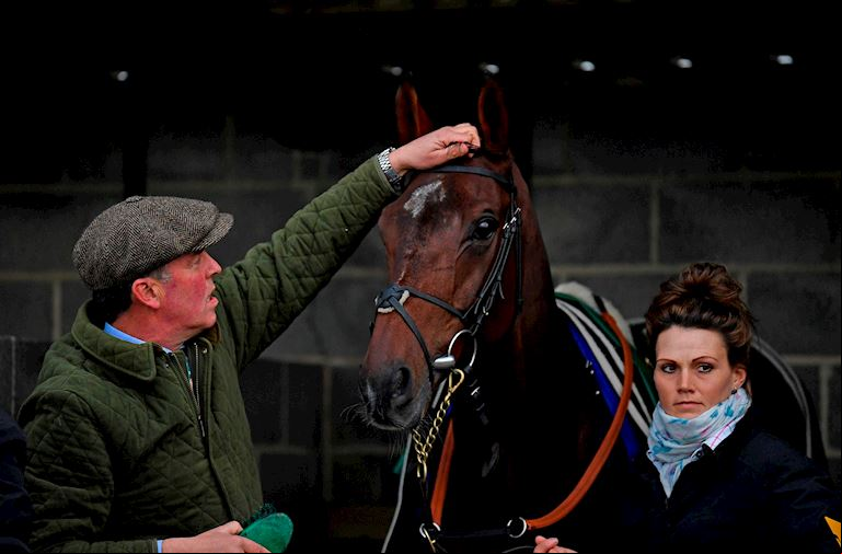 Owners and Trainers