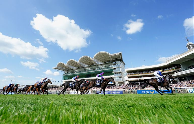 Guineas Festival 1.jpg