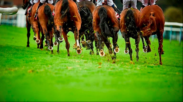 Transport To Exeter Racecourse