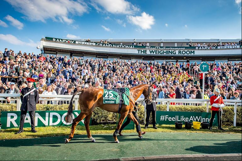 Horse Welfare - Racing and Facilities