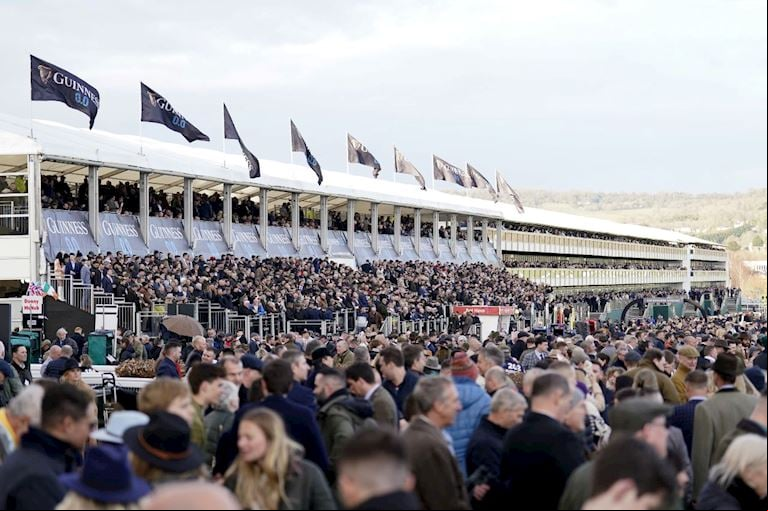 Guinness Grandstand
