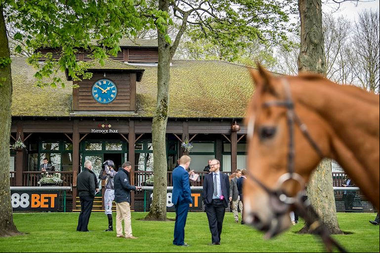 The Jockey Club Media Hub