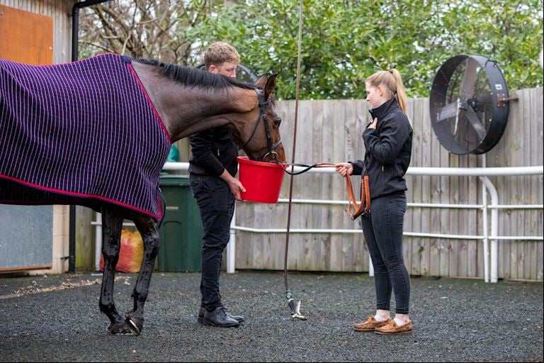 Cheltenham NYD 23-464.jpg