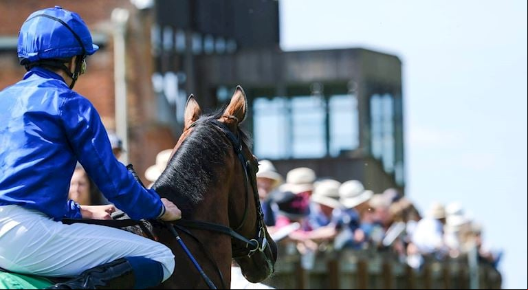 CHAMPIONS OF THE TURF HEADLINE ANOTHER YEAR OF ACHIEVEMENT FOR THE TOWN OF NEWMARKET