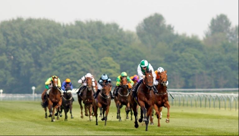 Nottingham Ladies Day Montage (8).jpg