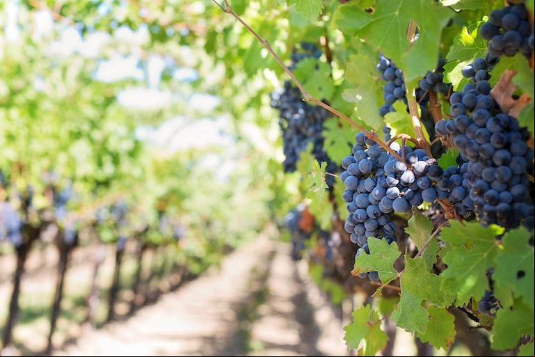 Our Sommelier's Tips